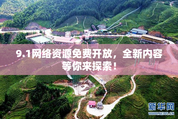 9.1网络资源免费开放，全新内容等你来探索！