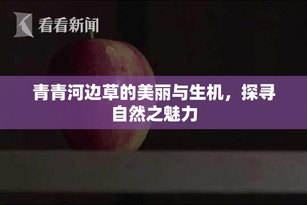 青青河边草的美丽与生机，探寻自然之魅力