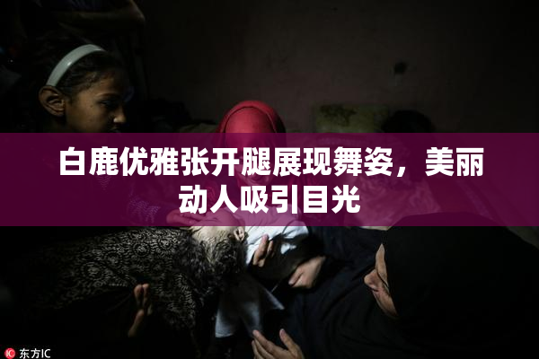 白鹿优雅张开腿展现舞姿，美丽动人吸引目光