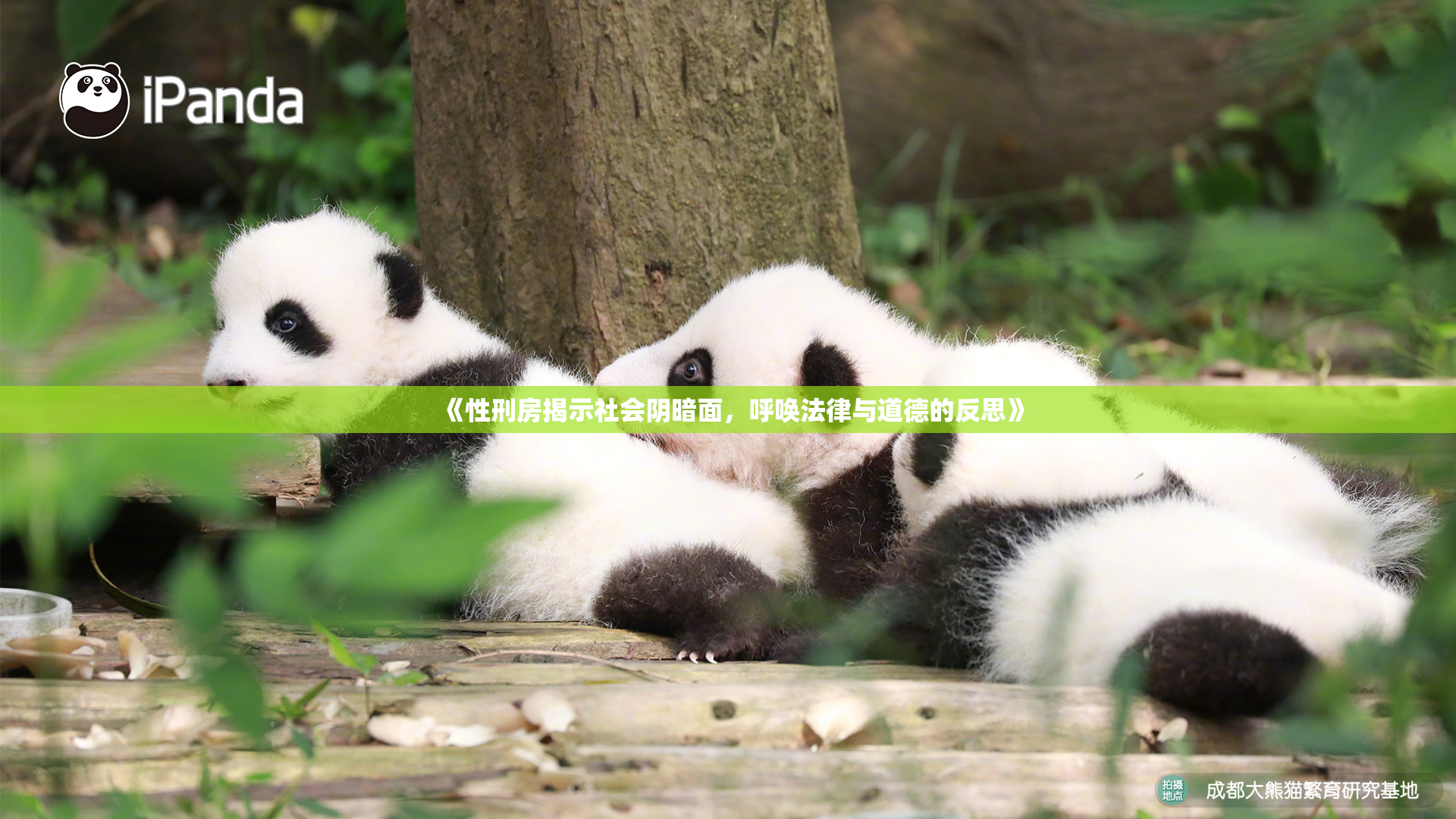 《性刑房揭示社会阴暗面，呼唤法律与道德的反思》