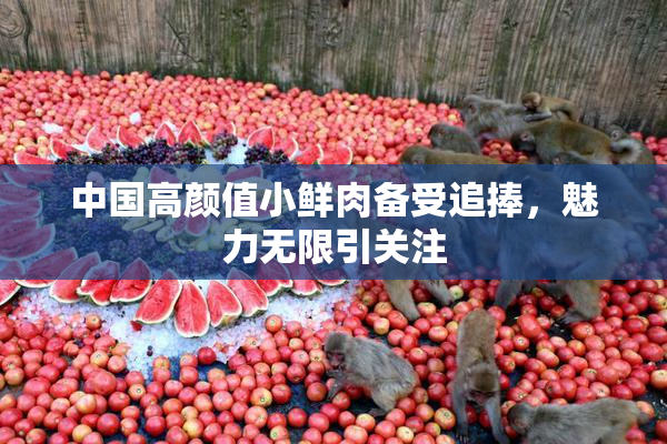 中国高颜值小鲜肉备受追捧，魅力无限引关注