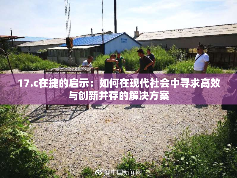 17.c在捷的启示：如何在现代社会中寻求高效与创新并存的解决方案