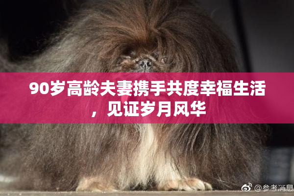 90岁高龄夫妻携手共度幸福生活，见证岁月风华