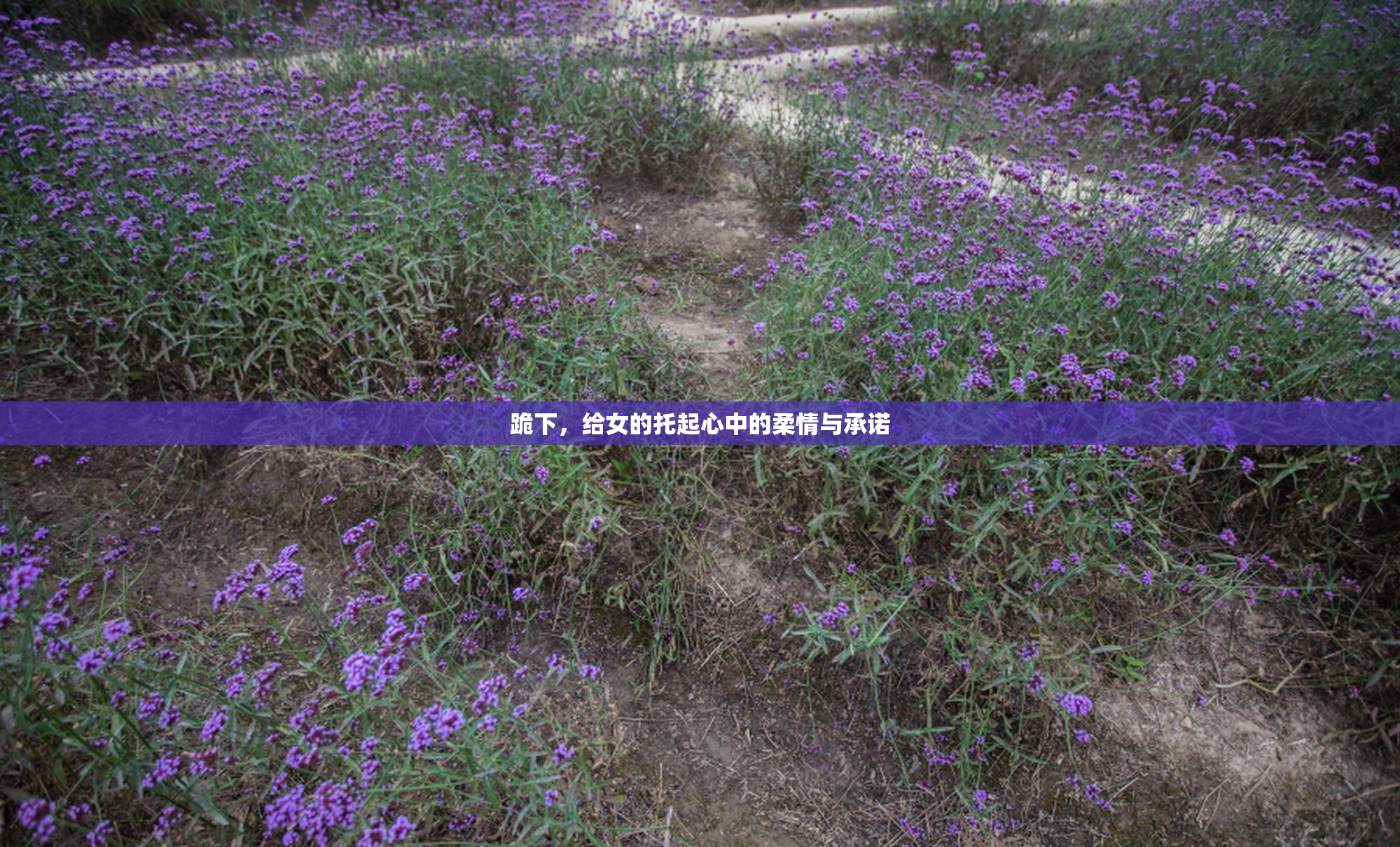 跪下，给女的托起心中的柔情与承诺