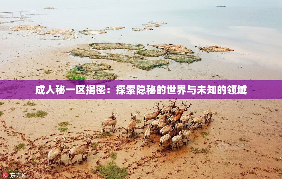 成人秘一区揭密：探索隐秘的世界与未知的领域
