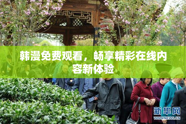 韩漫免费观看，畅享精彩在线内容新体验
