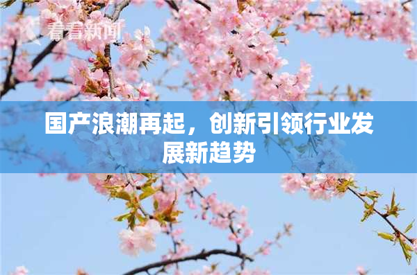 国产浪潮再起，创新引领行业发展新趋势