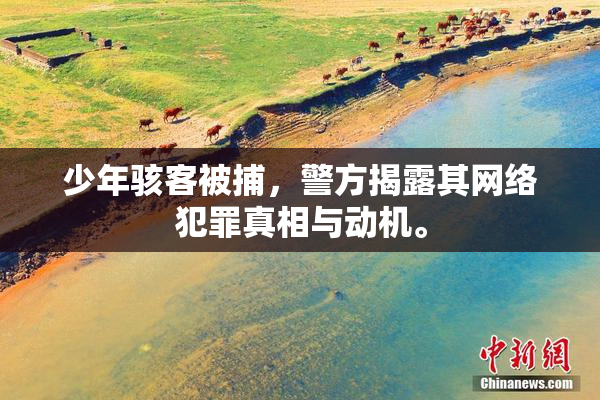 少年骇客被捕，警方揭露其网络犯罪真相与动机。