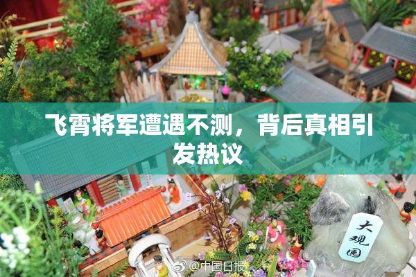 飞霄将军遭遇不测，背后真相引发热议