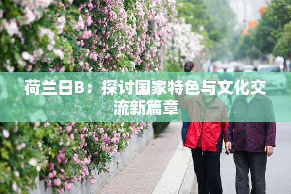 荷兰日B：探讨国家特色与文化交流新篇章