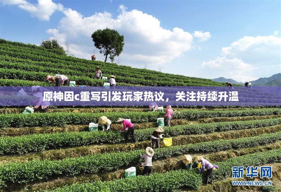 原神因c重写引发玩家热议，关注持续升温