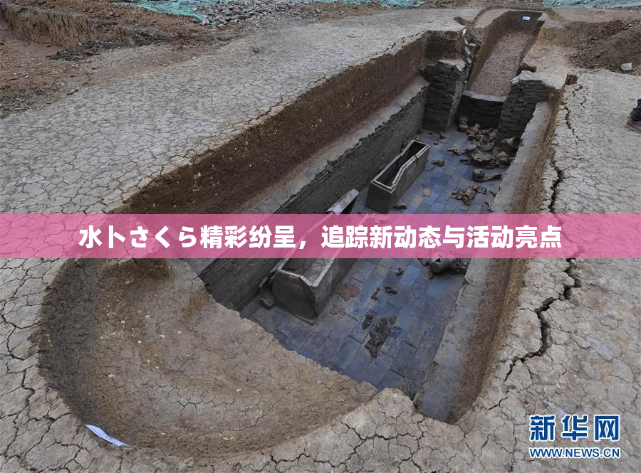 水卜さくら精彩纷呈，追踪新动态与活动亮点