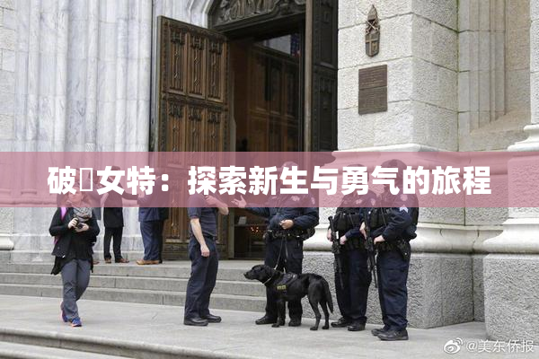 破處女特：探索新生与勇气的旅程