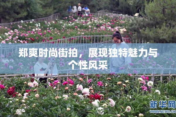 郑爽时尚街拍，展现独特魅力与个性风采