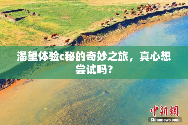 渴望体验c秘的奇妙之旅，真心想尝试吗？