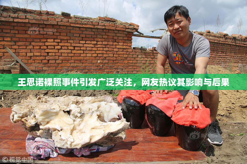 王思诺裸照事件引发广泛关注，网友热议其影响与后果