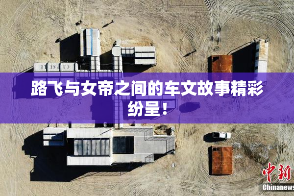 路飞与女帝之间的车文故事精彩纷呈！