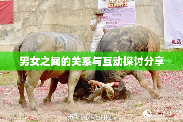 男女之间的关系与互动探讨分享