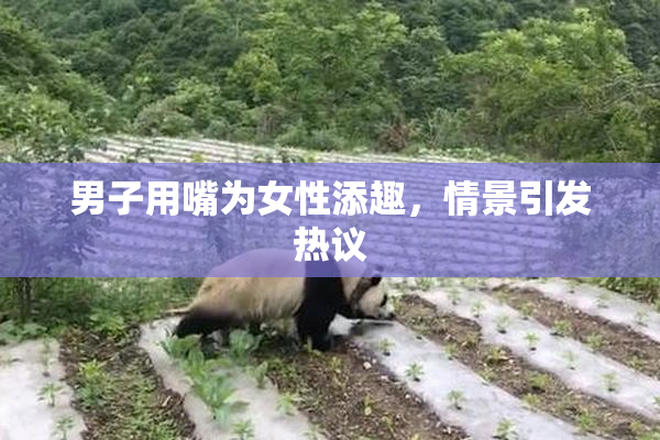 男子用嘴为女性添趣，情景引发热议