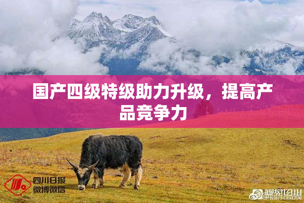 国产四级特级助力升级，提高产品竞争力