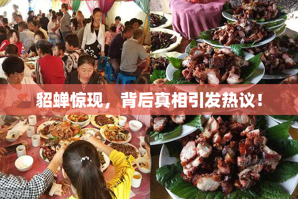 貂蝉惊现，背后真相引发热议！