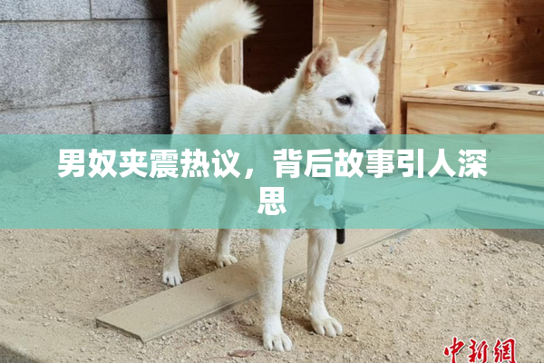 男奴夹震热议，背后故事引人深思