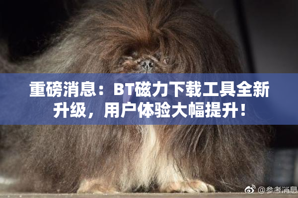 重磅消息：BT磁力下载工具全新升级，用户体验大幅提升！