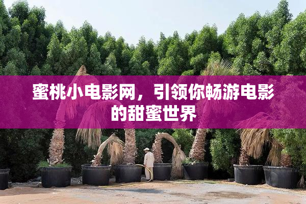 蜜桃小电影网，引领你畅游电影的甜蜜世界