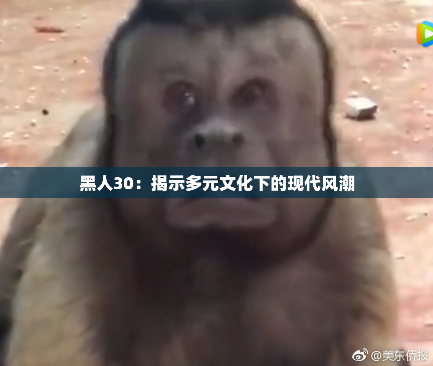 黑人30：揭示多元文化下的现代风潮