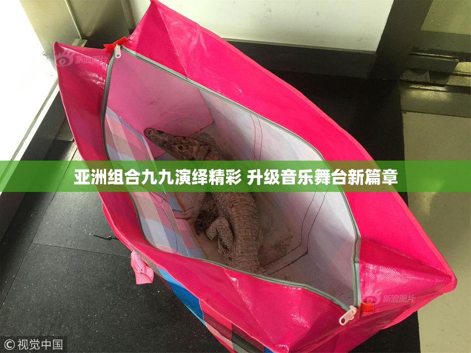 亚洲组合九九演绎精彩 升级音乐舞台新篇章