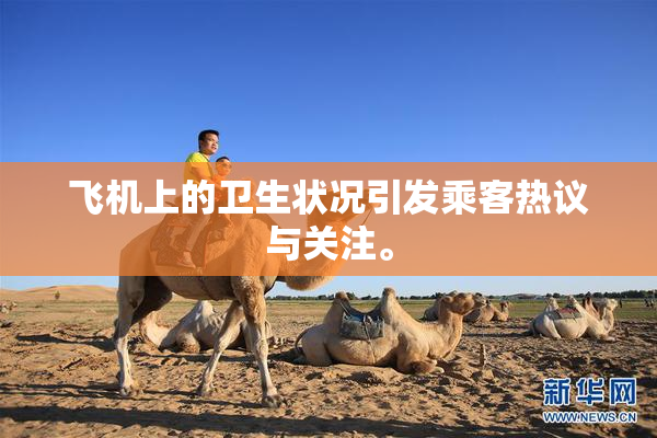 飞机上的卫生状况引发乘客热议与关注。