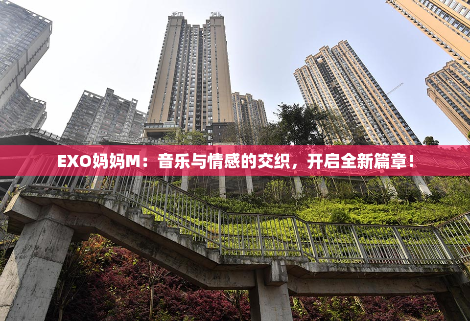 EXO妈妈M：音乐与情感的交织，开启全新篇章！