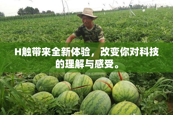 H触带来全新体验，改变你对科技的理解与感受。