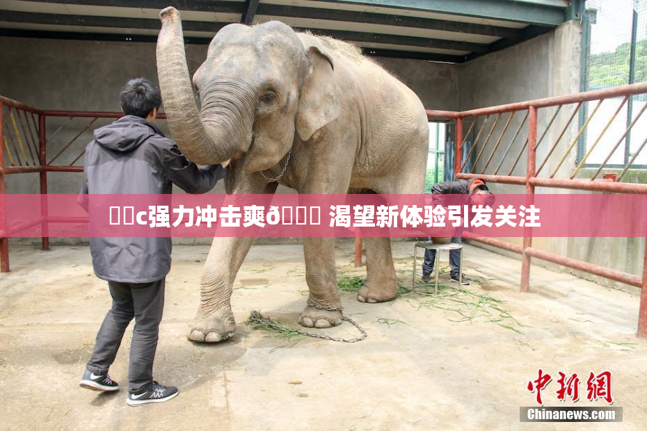 ❌‌c强力冲击爽🔞 渴望新体验引发关注