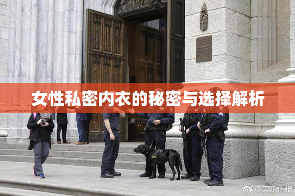 女性私密内衣的秘密与选择解析