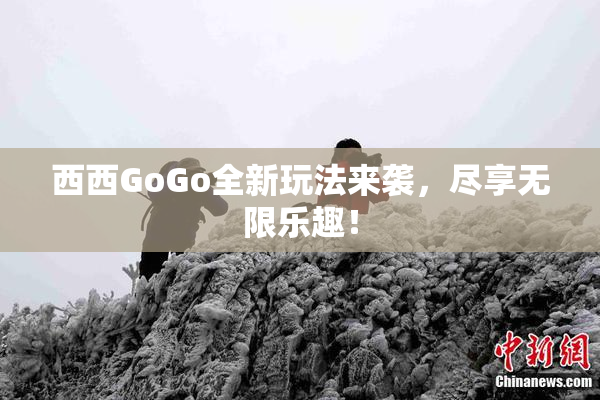西西GoGo全新玩法来袭，尽享无限乐趣！