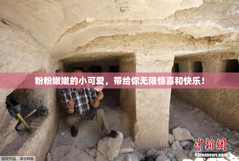 粉粉嫩嫩的小可爱，带给你无限惊喜和快乐！
