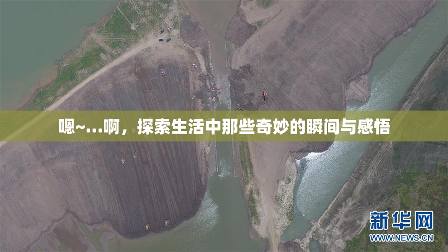 嗯~…啊，探索生活中那些奇妙的瞬间与感悟