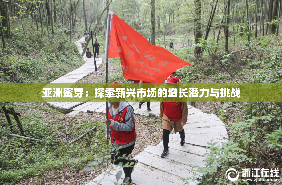 亚洲蜜芽：探索新兴市场的增长潜力与挑战