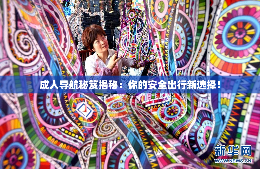成人导航秘笈揭秘：你的安全出行新选择！