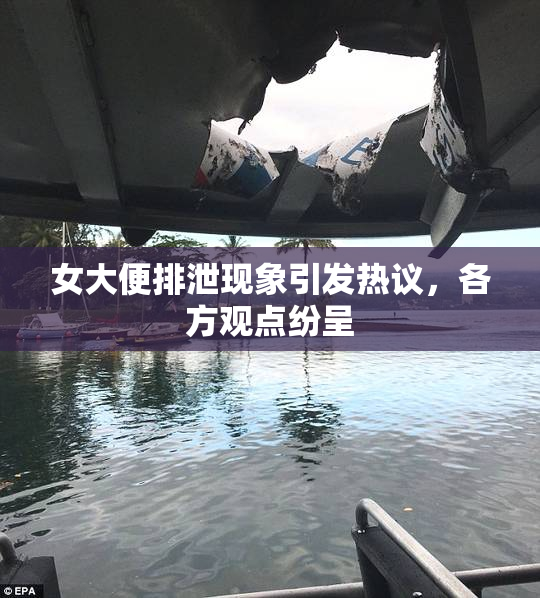 女大便排泄现象引发热议，各方观点纷呈