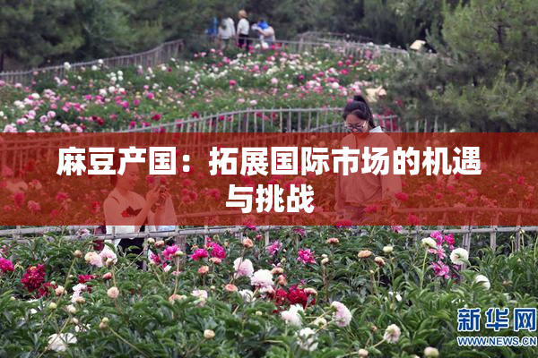 麻豆产国：拓展国际市场的机遇与挑战