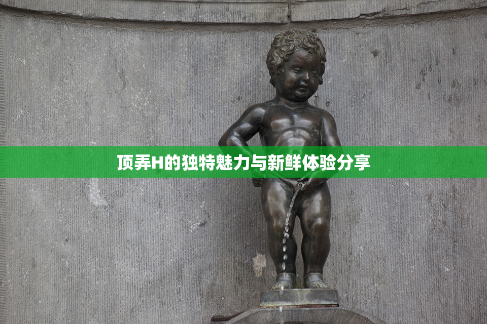 顶弄H的独特魅力与新鲜体验分享