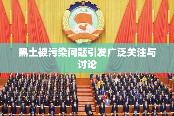 黑土被污染问题引发广泛关注与讨论