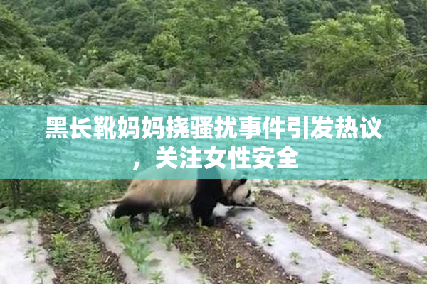 黑长靴妈妈挠骚扰事件引发热议，关注女性安全