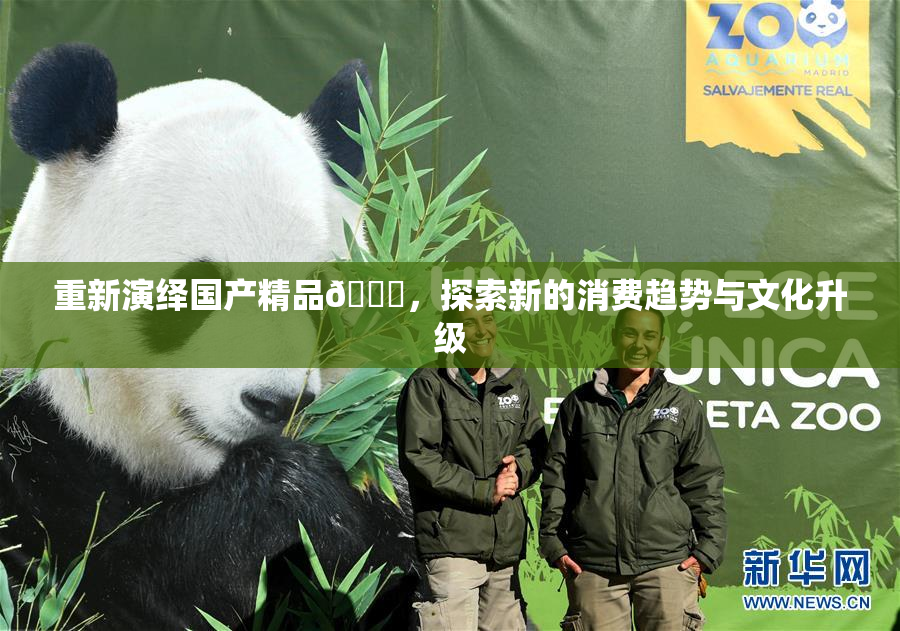 重新演绎国产精品🈚，探索新的消费趋势与文化升级
