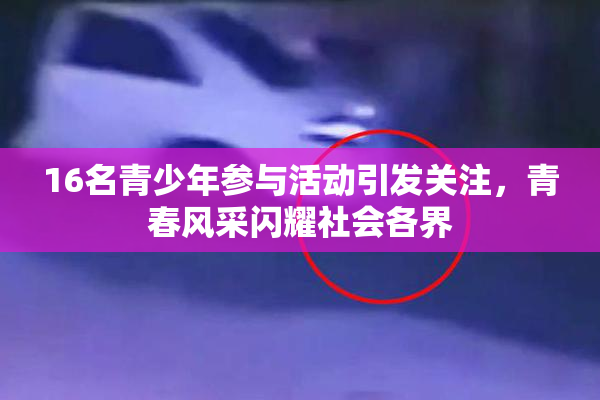 16名青少年参与活动引发关注，青春风采闪耀社会各界