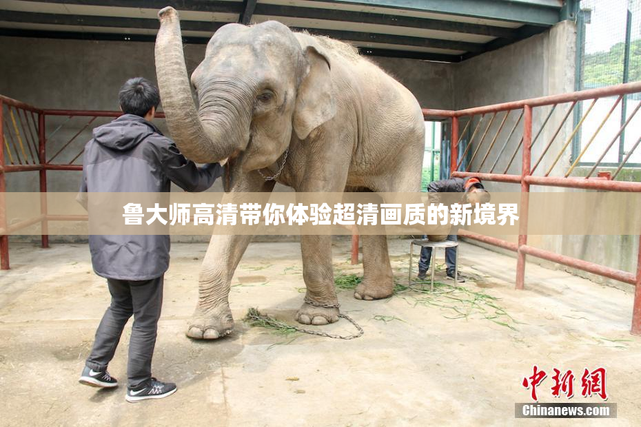 鲁大师高清带你体验超清画质的新境界