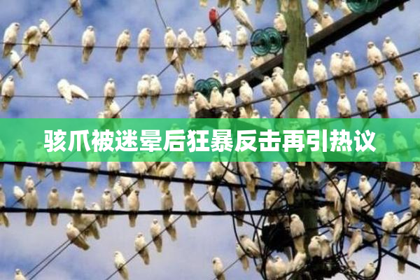 骇爪被迷晕后狂暴反击再引热议