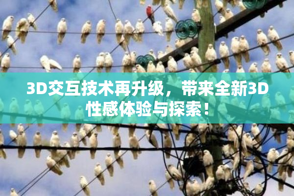 3D交互技术再升级，带来全新3D性感体验与探索！